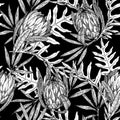 Seamless black-white graphic pattern with tropical flowers and leaves. protea flowers and palm leaves on a black background. line Royalty Free Stock Photo