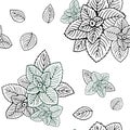 Seamless black and white mint leaves pattern.