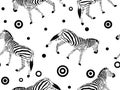 Seamless pattern with zebras on a white background.