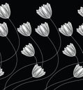 Seamless black and white tulip flower border Royalty Free Stock Photo