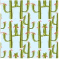 Seamless blooming green cactus with red flowers on blue