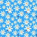 Seamless blue background with camomiles and ladybirds