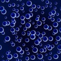 Seamless Blue Bubble Pattern