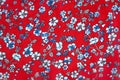 Seamless Blue Floral Pattern in Red Color Background on Cloth Royalty Free Stock Photo