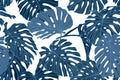 Seamless blue monstera pattern. Jungle print design for fabric, wallpaper fashion natural, tropic, exotic bakground.