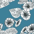Seamless blue pattern with morning glory. Hand drawn. Graphics Royalty Free Stock Photo