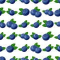 Seamless blueberries Pattern. 3d realistic vector berries