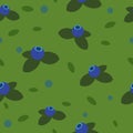 Seamless blueberries pattern