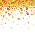 Seamless border Autumn falling leaf on white background.