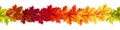 Seamless border with autumn maple leaves. Vector illustration Royalty Free Stock Photo