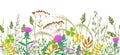 Seamless Border with Autumn Meadow Plants and Wildflowers Royalty Free Stock Photo