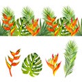 Seamless border with bright tropical flowers and leaves. Set with tropical plants. Royalty Free Stock Photo