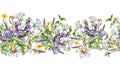 Seamless border of chamomile, nettle, lungwort, chelidonium watercolor illustration isolated on white background. Purple