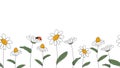 Seamless border of daisies hand drawn in simplified children cartoon naive style on white background.Cute ladybug sitting on