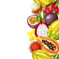 Seamless border with exotic tropical fruits. Illustration of asian plants