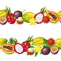 Seamless border with exotic tropical fruits. Illustration of asian plants