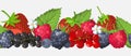 Seamless border of fruits and berries. Blueberries, currants, cherries, strawberries, blackberries, raspberries. Vector