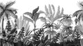 Seamless border with jungle trees in monochrome style.