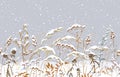 Seamless border with Meadow Plants under the Snowfall