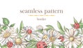 Seamless border pattern with sketch colorful blossoms. Seamless stripe with hand drawn camomile, ladybugs Royalty Free Stock Photo