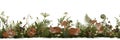 Seamless border pattern with wild berries, forest flowers, mushrooms and sleeping red foxes. Realistic hand drawn botanical illust Royalty Free Stock Photo