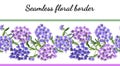 Seamless border with phlox flowers isolated on white