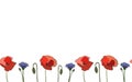 Seamless border poppy cornflower