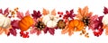 Seamless border with pumpkins, autumn leaves, and rowanberries. Vector illustration Royalty Free Stock Photo