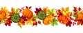 Seamless border with pumpkins and colorful autumn leaves. Vector illustration Royalty Free Stock Photo