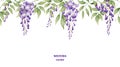 Seamless border of purple wisteria flowers and green leaves on a white background. Background design. design of posters