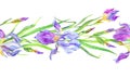 Seamless border of purple and yellow irises, hand drawing