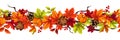 Seamless border with colorful autumn leaves and pumpkins. Vector illustration Royalty Free Stock Photo