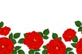 Seamless border of red roses, hand drawn style vector illustration isolated on white background. Backdrop for wallpaper Royalty Free Stock Photo