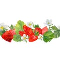 Seamless border with strawberries. White flowers and green leaves watercolor highlighted on a white background. Strawberry slices Royalty Free Stock Photo