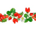 Seamless border with strawberries. White flowers and green leaves watercolor highlighted on a white background. Strawberry slices Royalty Free Stock Photo
