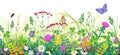 Seamless Border with Summer Meadow Plants and Insects