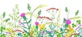 Seamless Border with Summer Meadow Plants Royalty Free Stock Photo