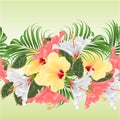 Seamless border tropical flowers floral arrangement, with pink white and yellow hibiscus and palm ficus vintage vector illustra Royalty Free Stock Photo