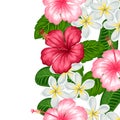 Seamless border with tropical flowers hibiscus and plumeria. Background made without clipping mask. Royalty Free Stock Photo