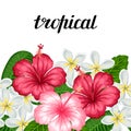 Seamless border with tropical flowers hibiscus and plumeria. Background made without clipping mask. Royalty Free Stock Photo