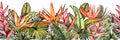 Seamless border with tropical palm leaves, exotic heliconia and strelitzia flowers.