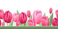 Seamless border of tulips. Vector illustration, background, pattern, print for packaging paper, postcards, textiles. Colorful pink Royalty Free Stock Photo