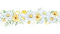 Seamless border with watercolor daisies, leaves and honeycombs