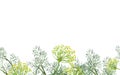 Seamless border of watercolor fennel plant