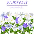 Seamless border of white and blue primroses on white background