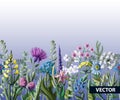 Seamless border of wild flowers. Vector illustration.