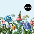 Seamless border with wild flowers. Vector illustration. Royalty Free Stock Photo