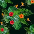 Seamless botanical exotic vector pattern with green palm leaves and hibiscus flowers