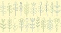 Minimalist Floral Line Art Pattern Royalty Free Stock Photo