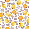 Seamless botanical pattern of hand drawn apple quince, quince fruits Royalty Free Stock Photo